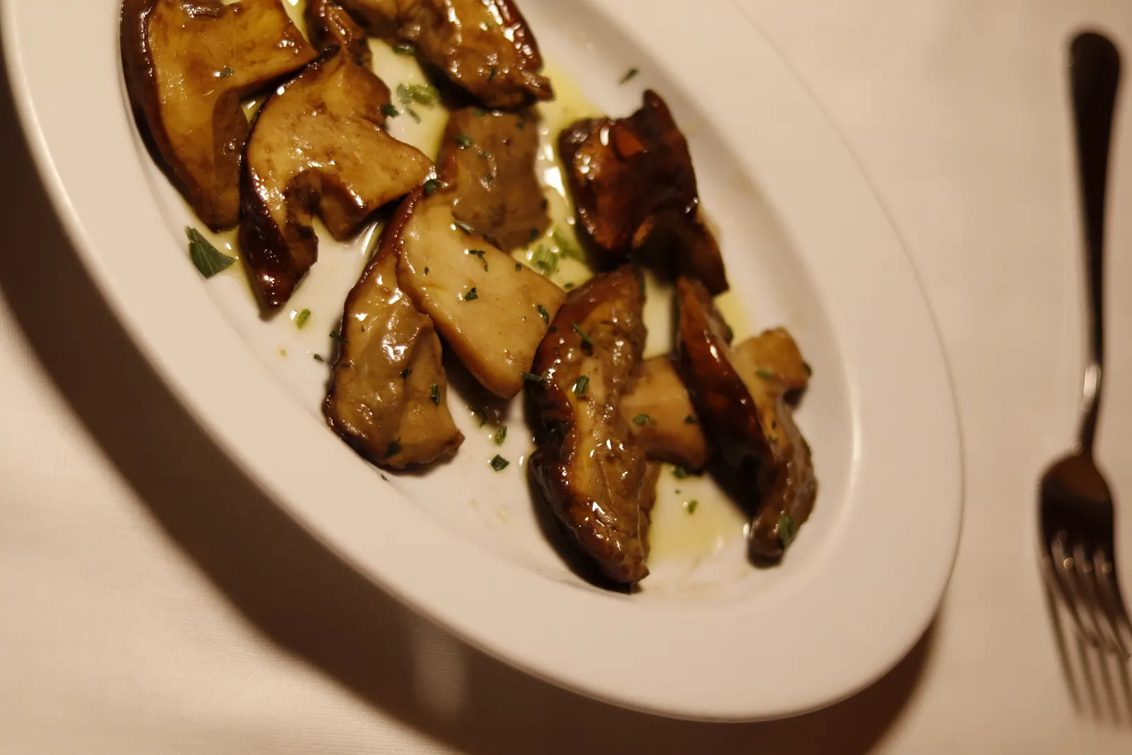 Porcini mushrooms